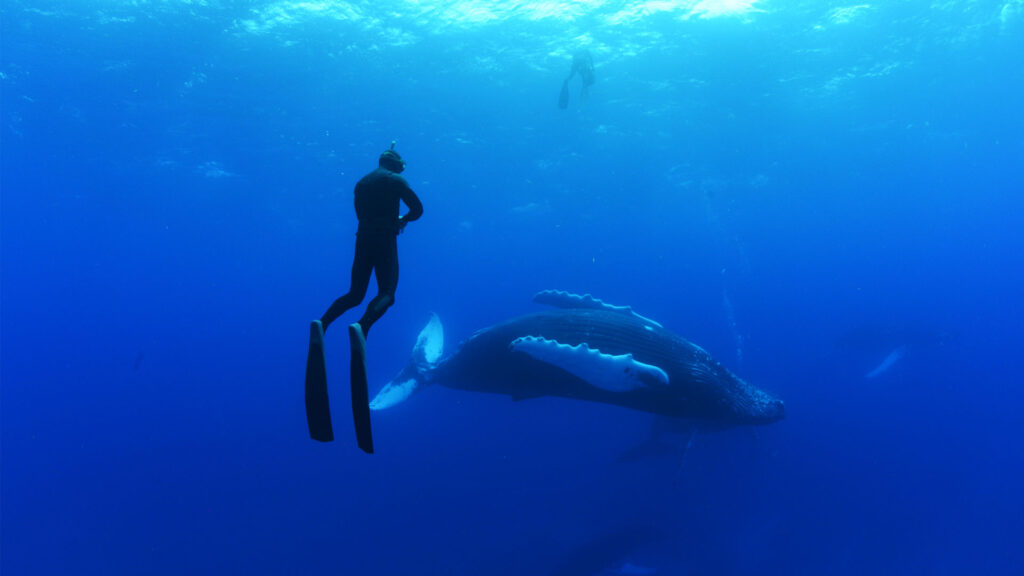 “OceanXplorers” Sound Team Sets Sail with Zaxcom